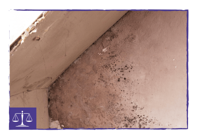 Housing-Repair_Image-5-1-min Housing Disrepair in Glasgow